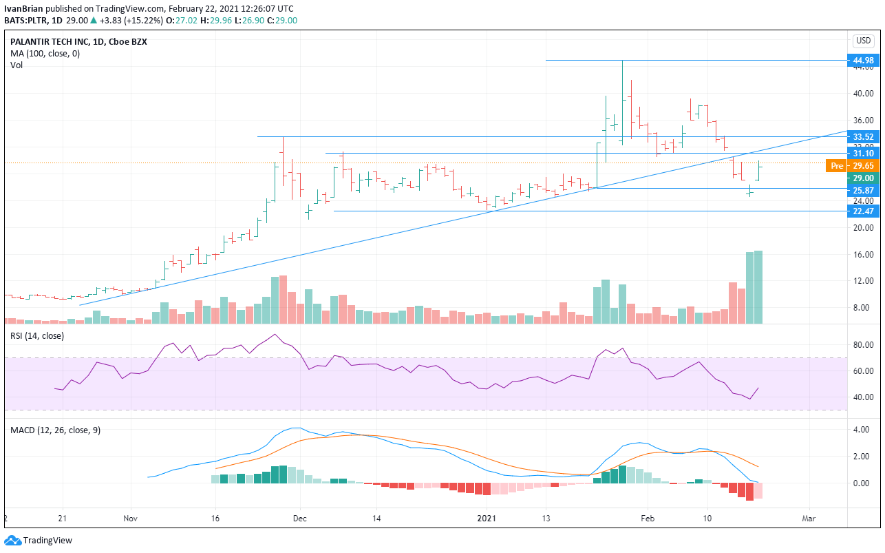 Palantir Technologies (PLTR) Stock Price and Forecast Ark Investment